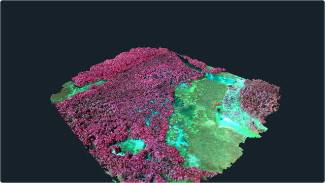 Existing Newington wetland model in false colour